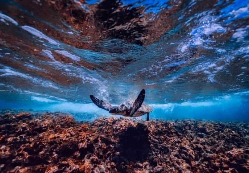 sea-2470908_640_e
