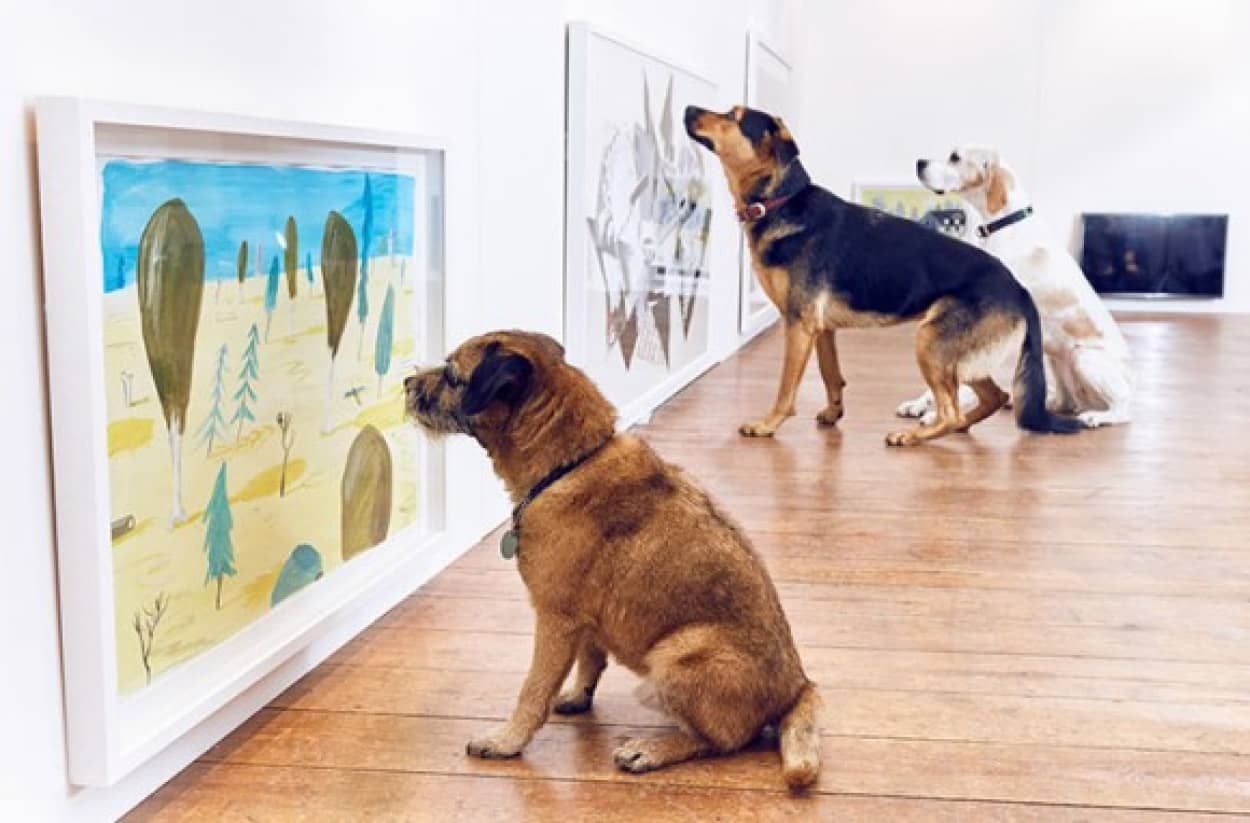 犬だって名画鑑賞 世界初 犬のためのアート展が開催され意識高い系の犬たちが大いに楽しむ カラパイア