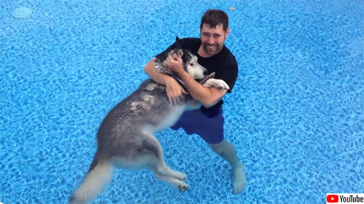 年老いた愛犬の為にプールでリハビリを開始、うれしい変化が!
