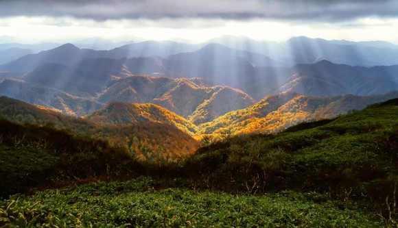 autumn-2183489_640_e