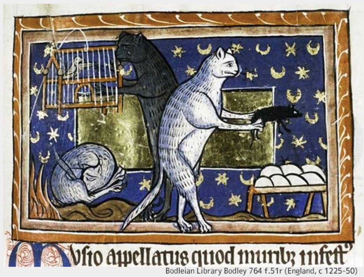 中世の人々と猫の関係