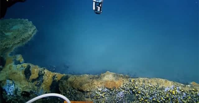 猛毒が渦巻く死の湖 海の底に沈む 海底の湖 の鮮明な映像 メキシコ湾 カラパイア