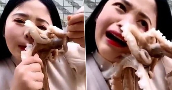 タコの踊り食いに挑戦した女性 タコの吸盤攻撃で顔面を負傷 中国 カラパイア
