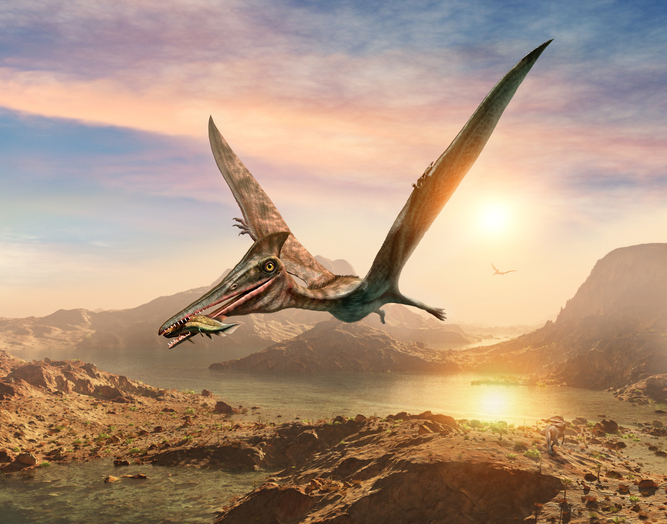 ジュラ紀最大の翼竜（空飛ぶ爬虫類）の化石が発見される