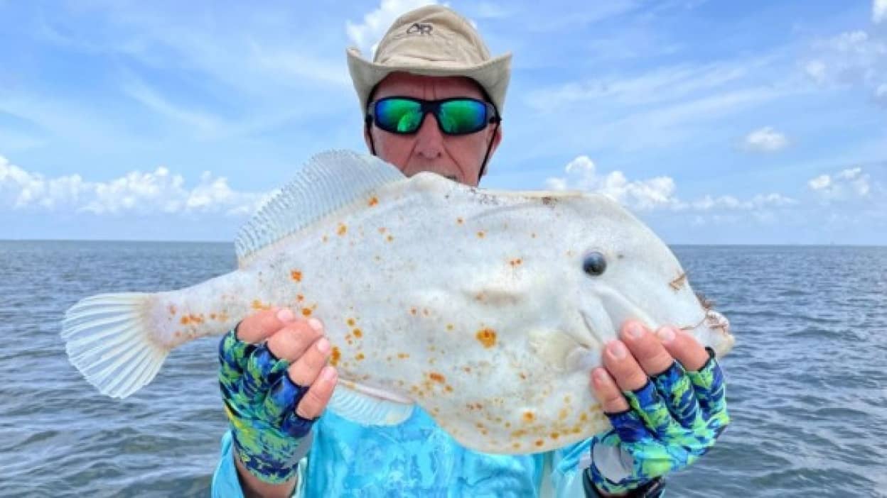 トルティーアの皮のような謎の魚が釣り上げられる