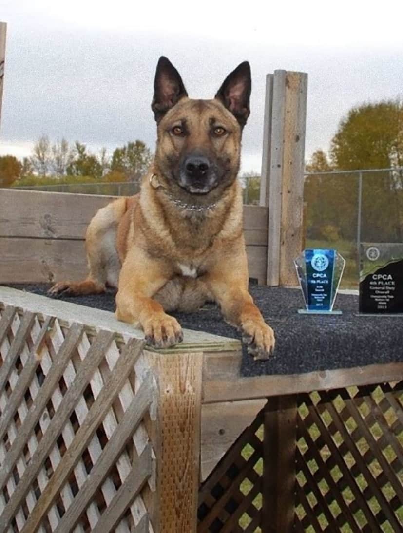 k98_e