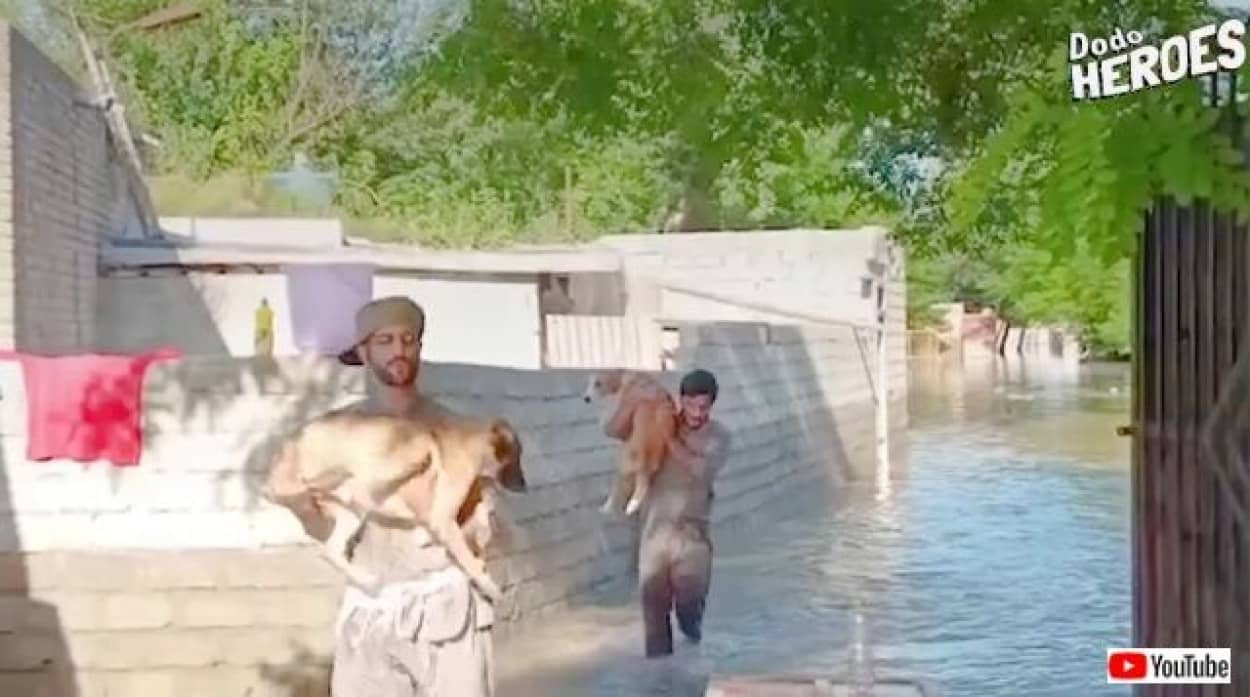 20221026_194911 (4)_batch