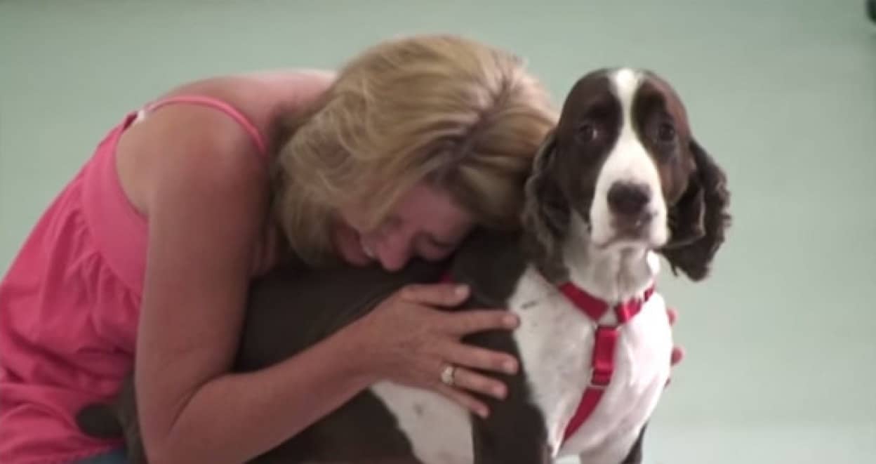 二度と歩くことはできないだろうと言われていた犬が 厳しいリハビリを乗り越えて再び歩けるように うれしくて泣き崩れる飼い主 カラパイア