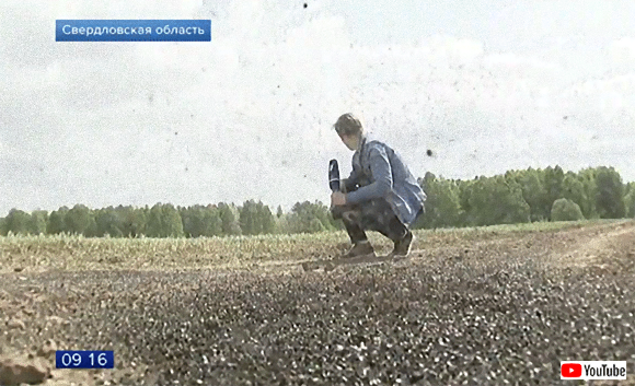 ザ・フライ。アポカリプス的終末の光景。ハエの大群が襲来したロシアの村（※ハエ大量出演中）