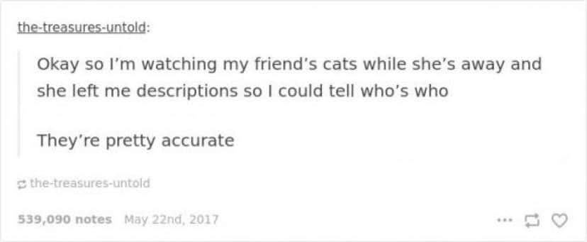 contribution_e
