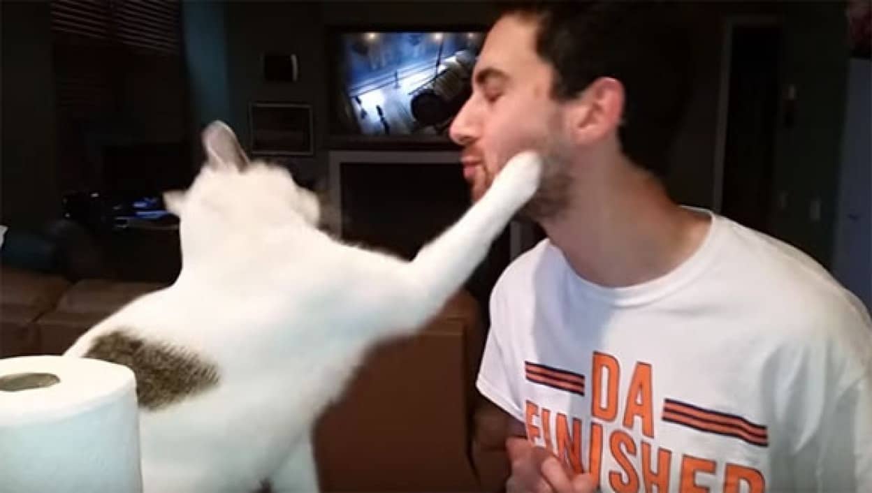 猫にビンタされるのを極上のご褒美と感じている男性のいる風景 カラパイア 猫にビンタされるのを極上のご褒美と感じている男性のいる風景 カラパイア