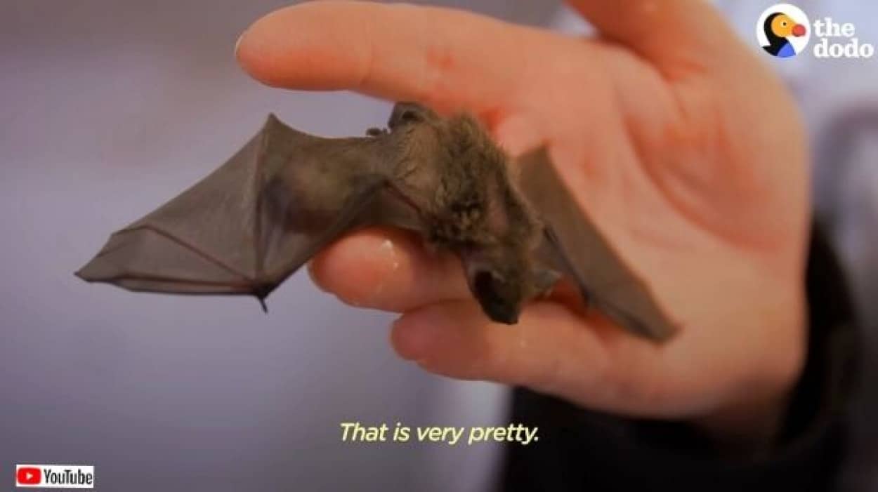 20230416_184637 (4)_batch