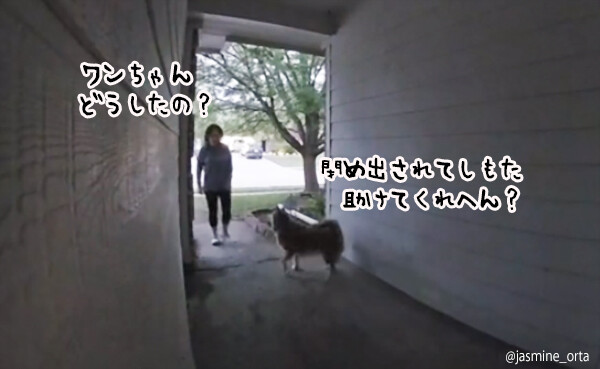 そや！助けてもらおう。家に入れない柴犬、通行人にお願いして玄関ベルを鳴らすようお願いする