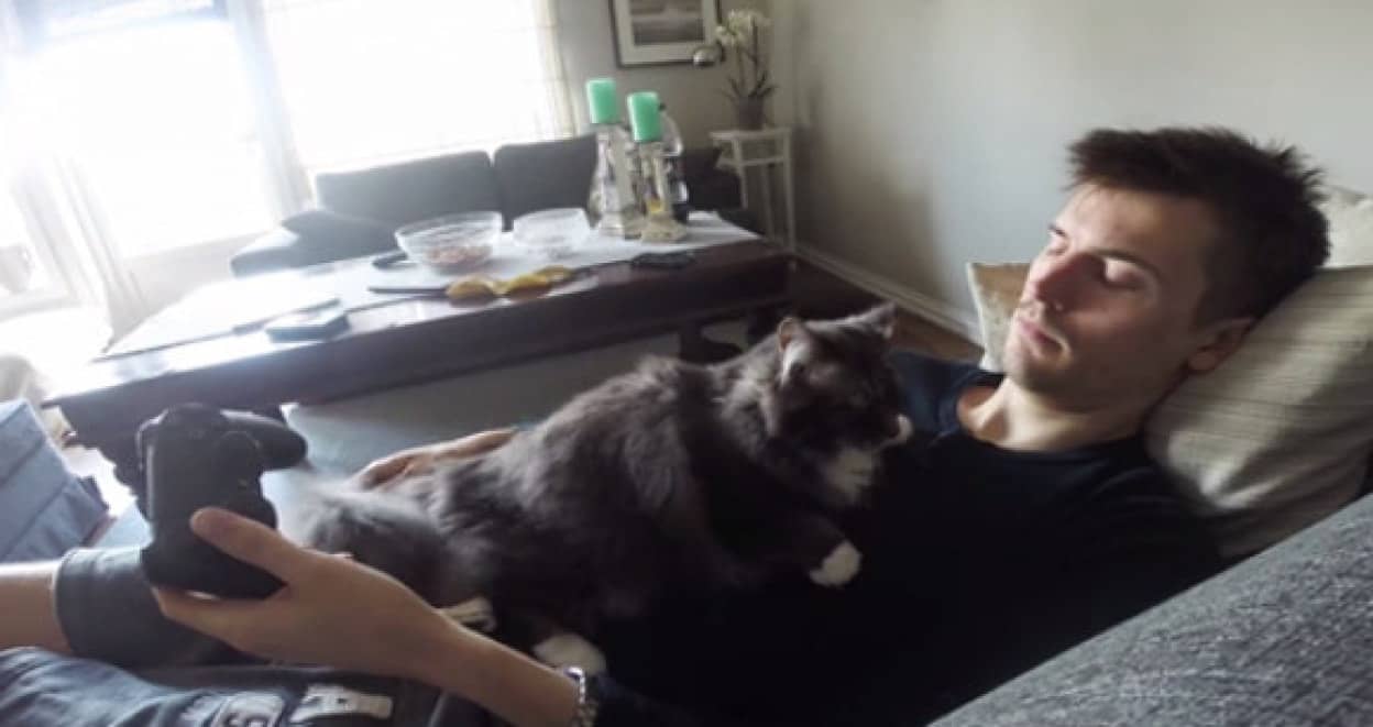 コントローラーでスイッチが入る猫 飼い主がゲームをしようとすると それをモフるなら 俺をモフれ と完全アピール カラパイア