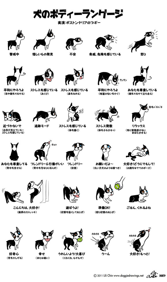 なるほどこれはわかりやすい 犬と猫の仕草から学ぶ 図解 犬のきもち 猫のきもち カラパイア