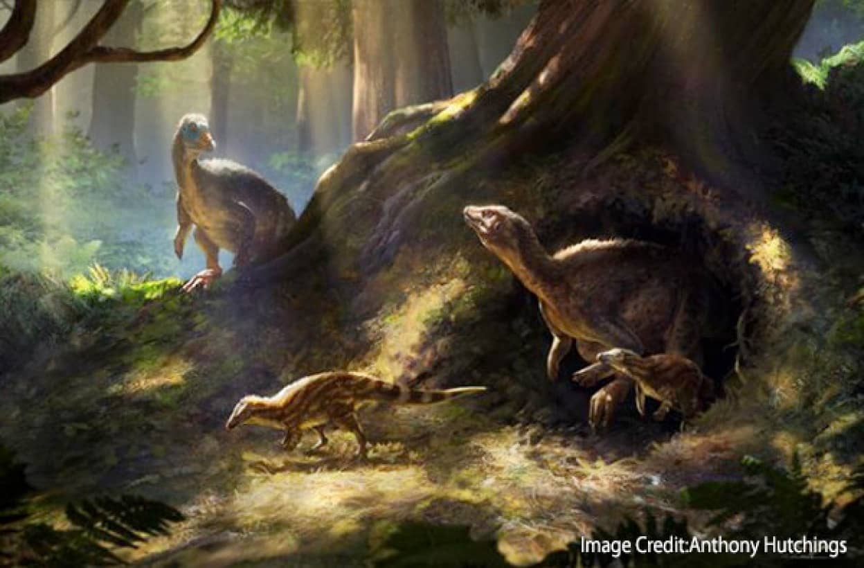 超感覚を持つ恐竜、テスケロサウルスにスーパー嗅覚があることがわかり脚光を浴びる