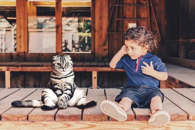 飼い猫が自閉スペクトラム症の子供の症状を改善してくれるという研究結果