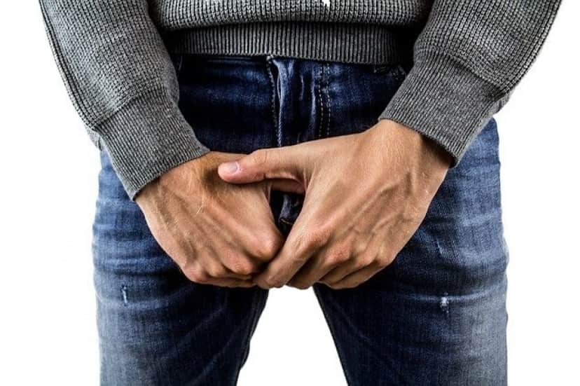 testicles-gbd6ce5d66_640