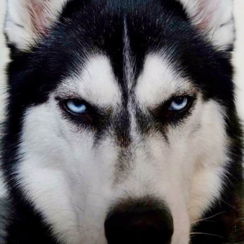 1_e8