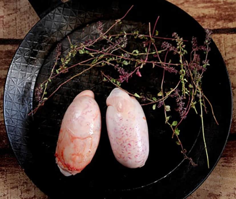 bulls-testicles-2043565_640