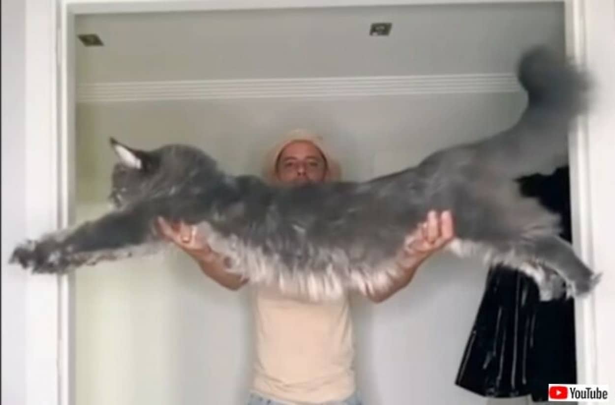 20230928_055158_batch