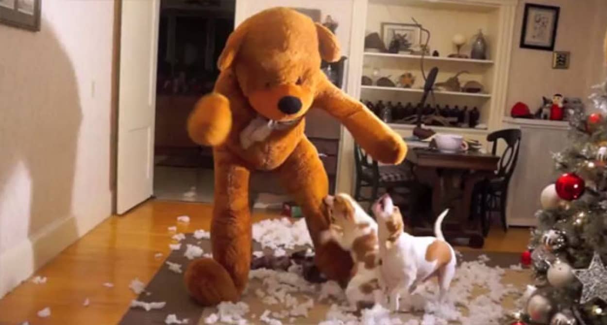 中に綿など入っていてはいけない ぬいぐるみの中身をもれなく掻き出す犬たちのメリークリスマス カラパイア