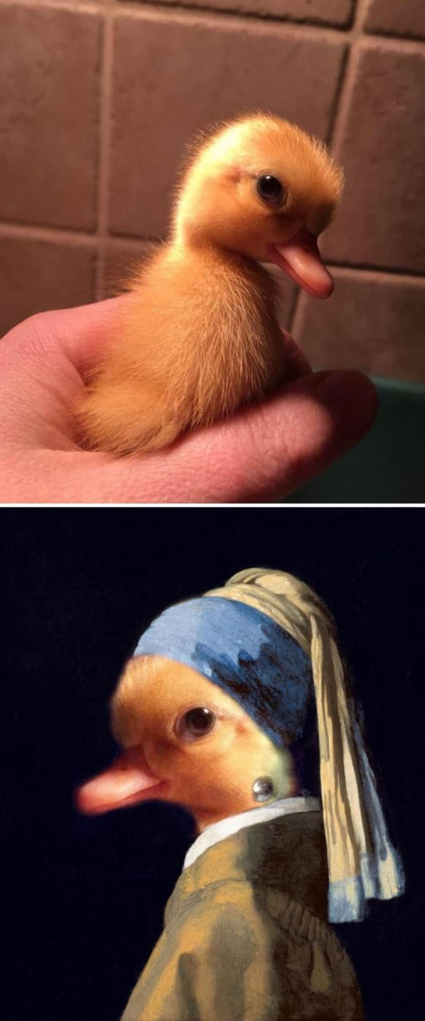 コラ職人が腕を振るう 19年フォトショップバトル優秀作品15 カラパイア