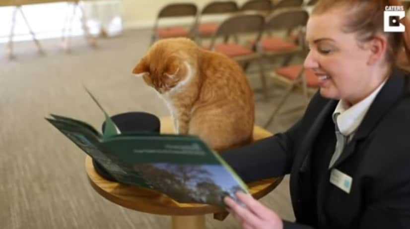 funeral cat4_e