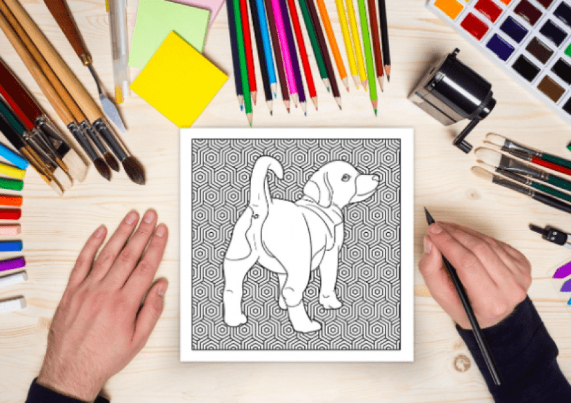 dog9