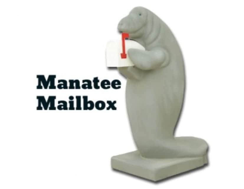 manatee2