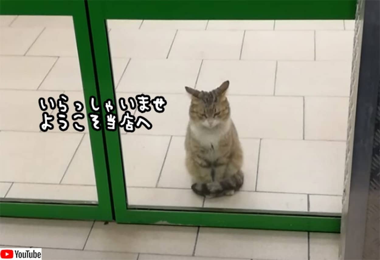 招き猫のいるロシアの店