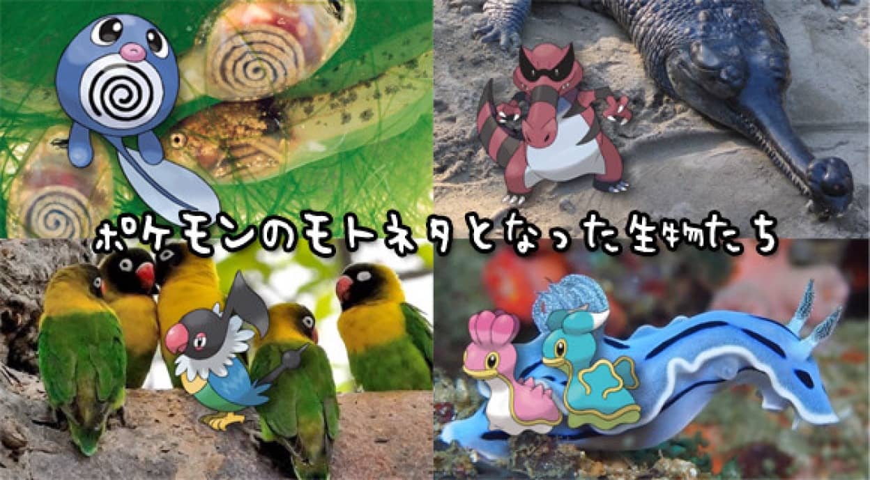 あのキャラクターの正体はアレだった ポケモンの元ネタとなった14の生物たち カラパイア