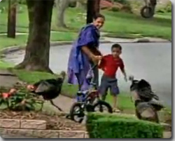 インドの人々を襲う七面鳥 カラパイア