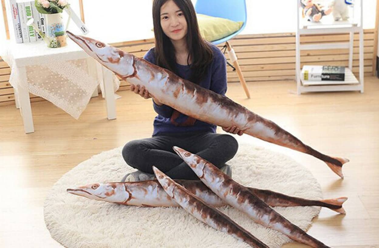 魚は焼くより抱く時代 スレンダーな抱き心地が程よくフィット さんまクッション が販売中 カラパイア 魚は焼くより抱く時代 スレンダーな抱き心地が程よくフィット さんまクッション が販売中 カラパイア