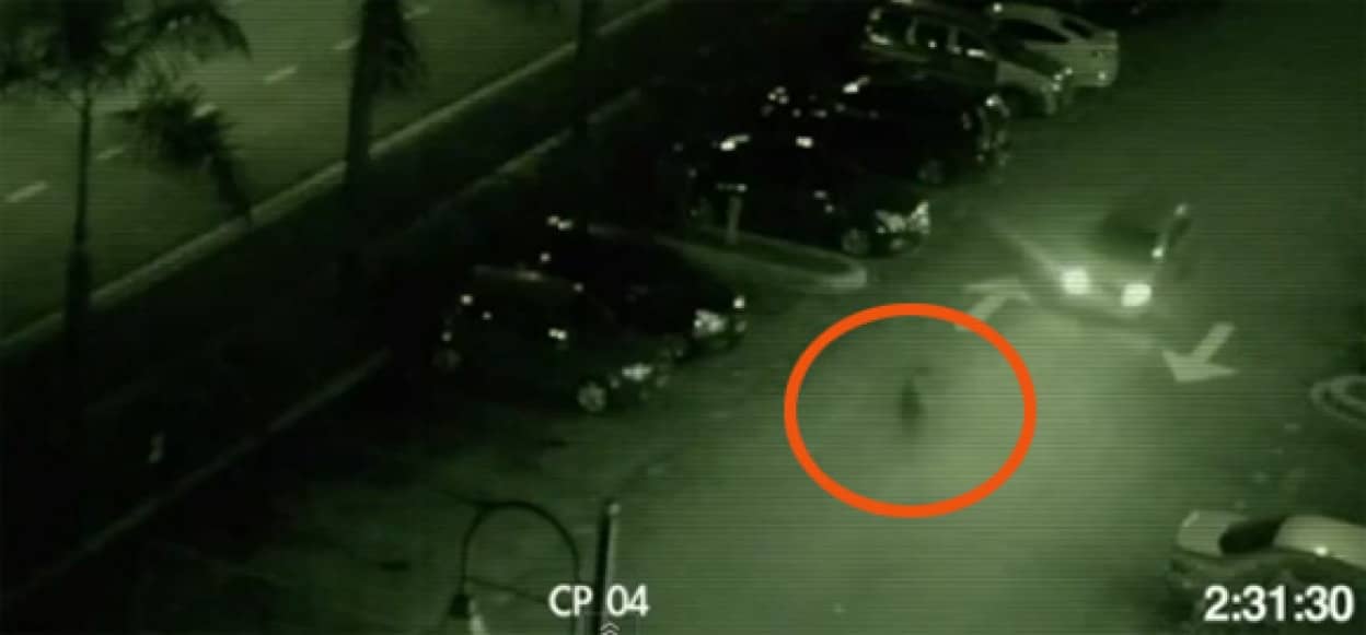 突如現れ車につっこんできた黒い幽霊 一時停止して確認した所 そこに残されていたものは マレーシア カラパイア