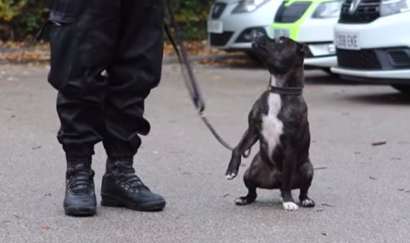 police2
