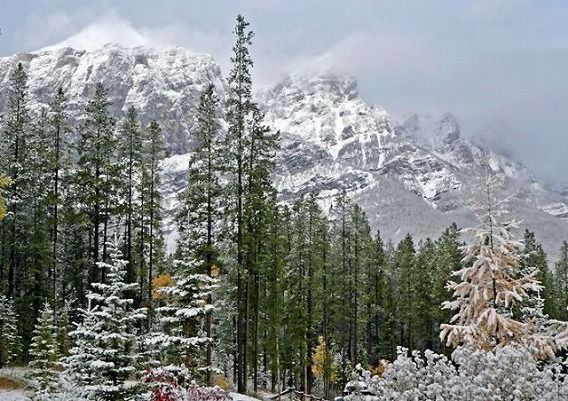 beautiful_winter_mountains_640_06