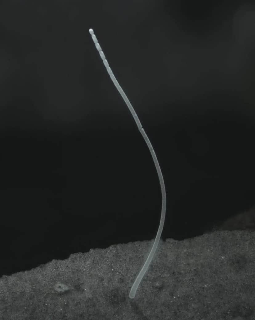 3_e0