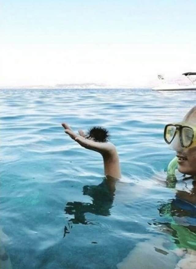 心の目がそうさせた 錯視を招く面白い14の画像 カラパイア