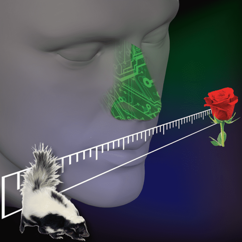 An_Electronic_Nose_Estimates_Odor_Pleasantness