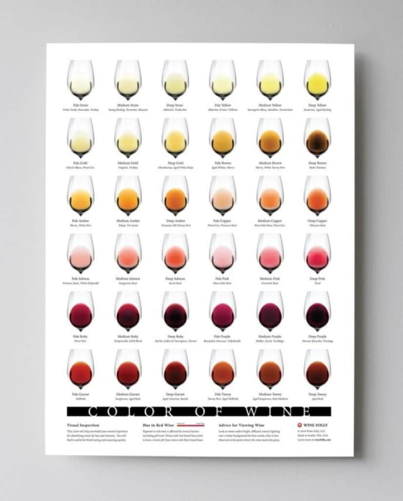 Wine-Color-Chart-18x24WineFOlly_1024x1024_e