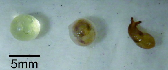 3_e11