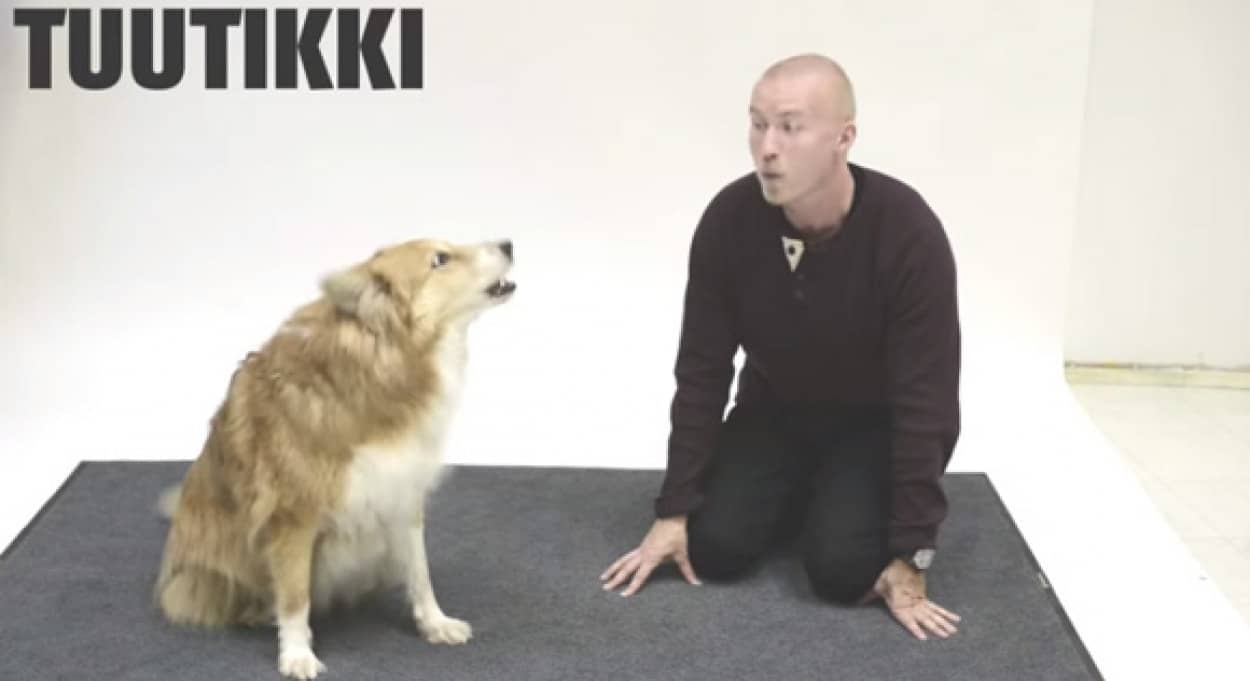 犬そっくりの鳴き声ができる声優さんがいろんな犬に向かって鳴いてみた 犬たちの反応は カラパイア 犬そっくりの鳴き声ができる声優さんがいろんな犬に向かって鳴いてみた 犬たちの反応は カラパイア