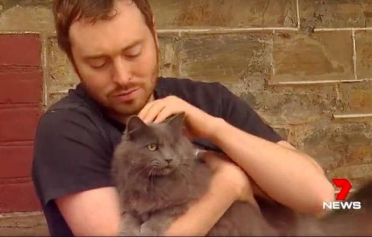 野良時代 バトルで片目を失った猫が 1人の人間に出会い有能な番猫になるまで オーストラリア カラパイア