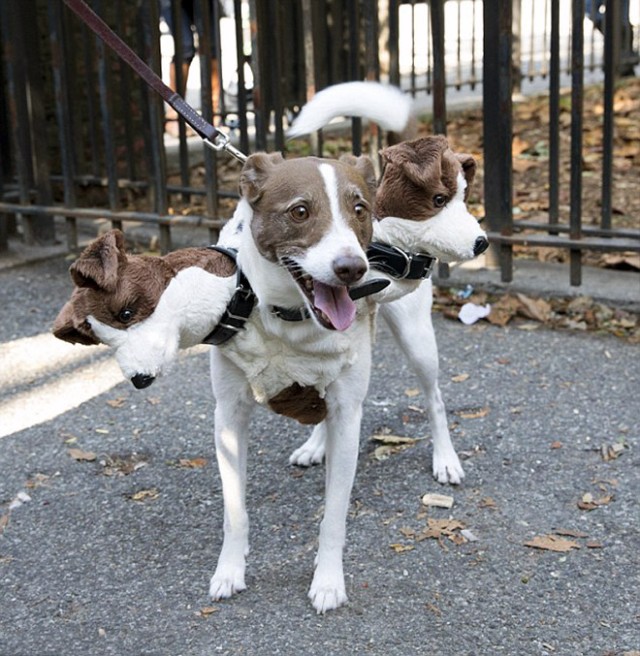 そして犬はケルベロスとなる。ハロウィンで世界各地に出没した地獄の番犬たち