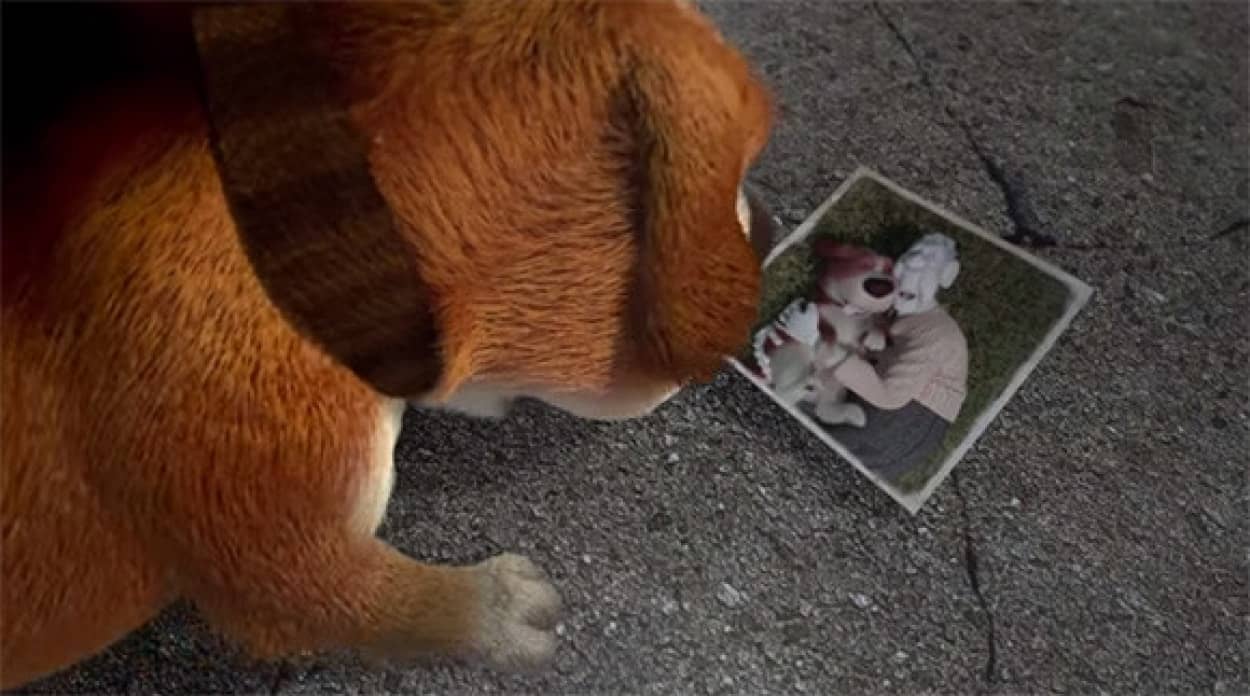 ゾンビになっても大好きなままだよ ゾンビ化した飼い主と犬との触れ合いを描いたショートフィルム デッド フレンズ カラパイア