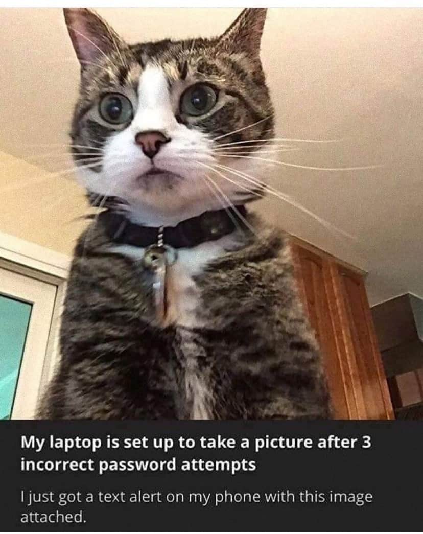 5UtFnGg_e