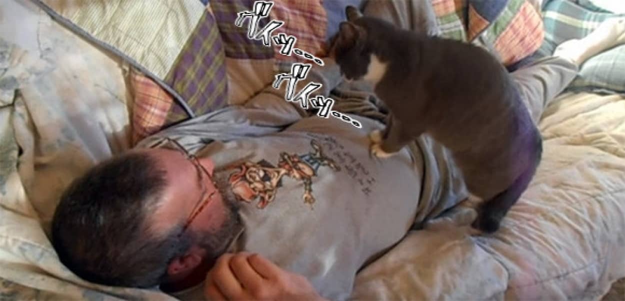 飼い主を蘇生させる凄腕の猫現る カラパイア