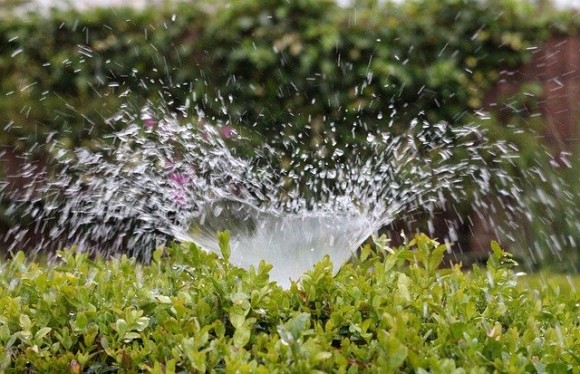 車上荒らしを撃退する為、車の荷台に細工をした夫婦。作戦成功！泥棒はずぶぬれになって退散（アメリカ）