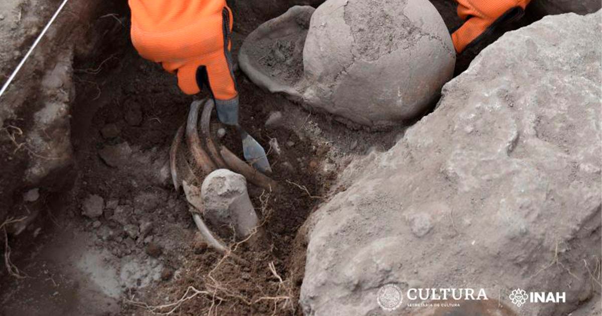 古代メキシコの遺跡から発掘されたハート形の頭蓋骨